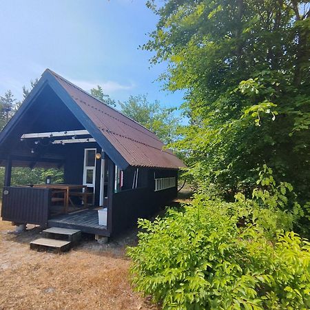 Tranum Klit Camping Og Hytteudlejning Brovst Zewnętrze zdjęcie